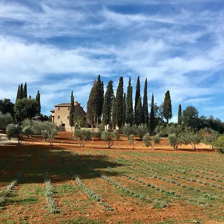 La Tenuta di Castelvecchio-2